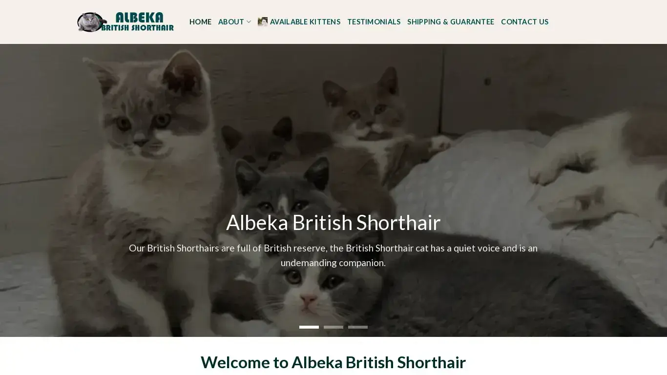 is Home - Albeka British Shorthair legit? screenshot