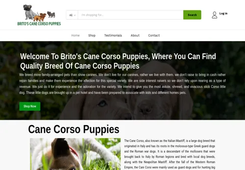 is britoscanecorsopuppies.com legit? screenshot