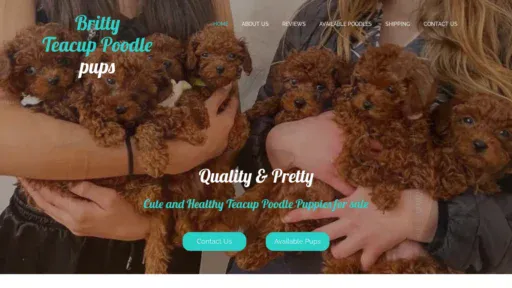A screenshot of Brittyteacuppoodlepups.com