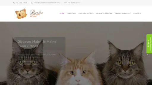 A screenshot of Brookesmainecoonkittens.com