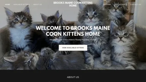 A screenshot of Brooksmainecoonkittenshome.com