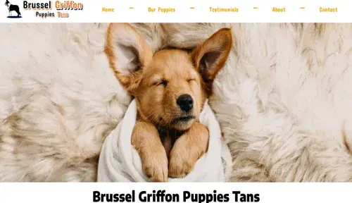 A screenshot of Genlanfamilystbernard.com