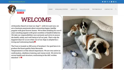 A screenshot of Buendiasranchs.com