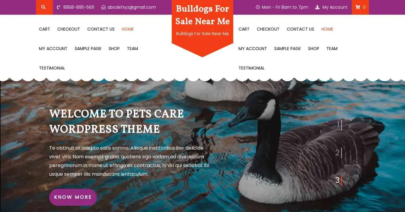 is bulldogsforsalenearme.com legit? screenshot