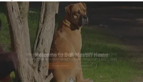 A screenshot of Genlanfamilystbernard.com