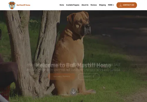 is bullmastiffpupforsale.com legit? screenshot