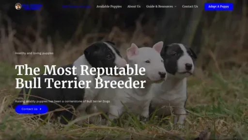 A screenshot of Bullterriers4homes.com