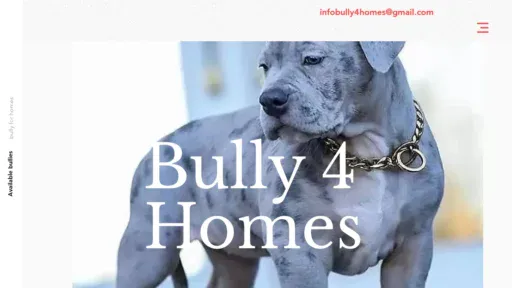 A screenshot of Bully4home.com