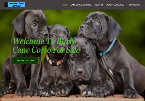 is burlycanecorsopuppies.com legit? screenshot