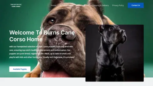 A screenshot of Burnscanecorsohome.com