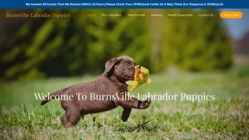 A screenshot of Burnsvillelabradorpuppies.com