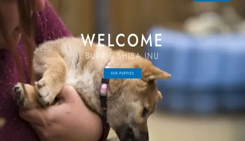 A screenshot of Genlanfamilystbernard.com