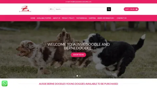 A screenshot of Buyaussiebernedoodles.com