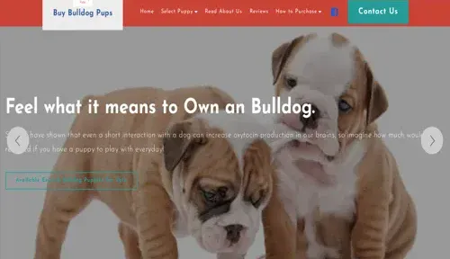 A screenshot of Genlanfamilystbernard.com