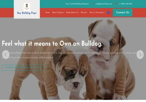 is buybulldogpups.com legit? screenshot
