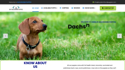 A screenshot of Buydachshundpuppies.com