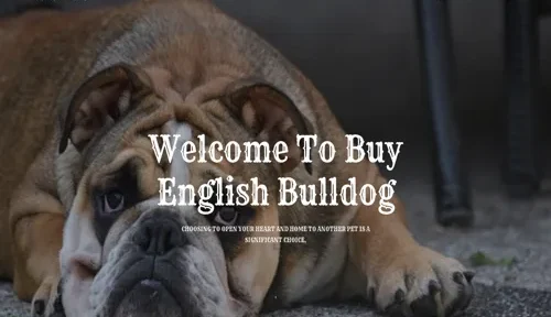 A screenshot of Genlanfamilystbernard.com