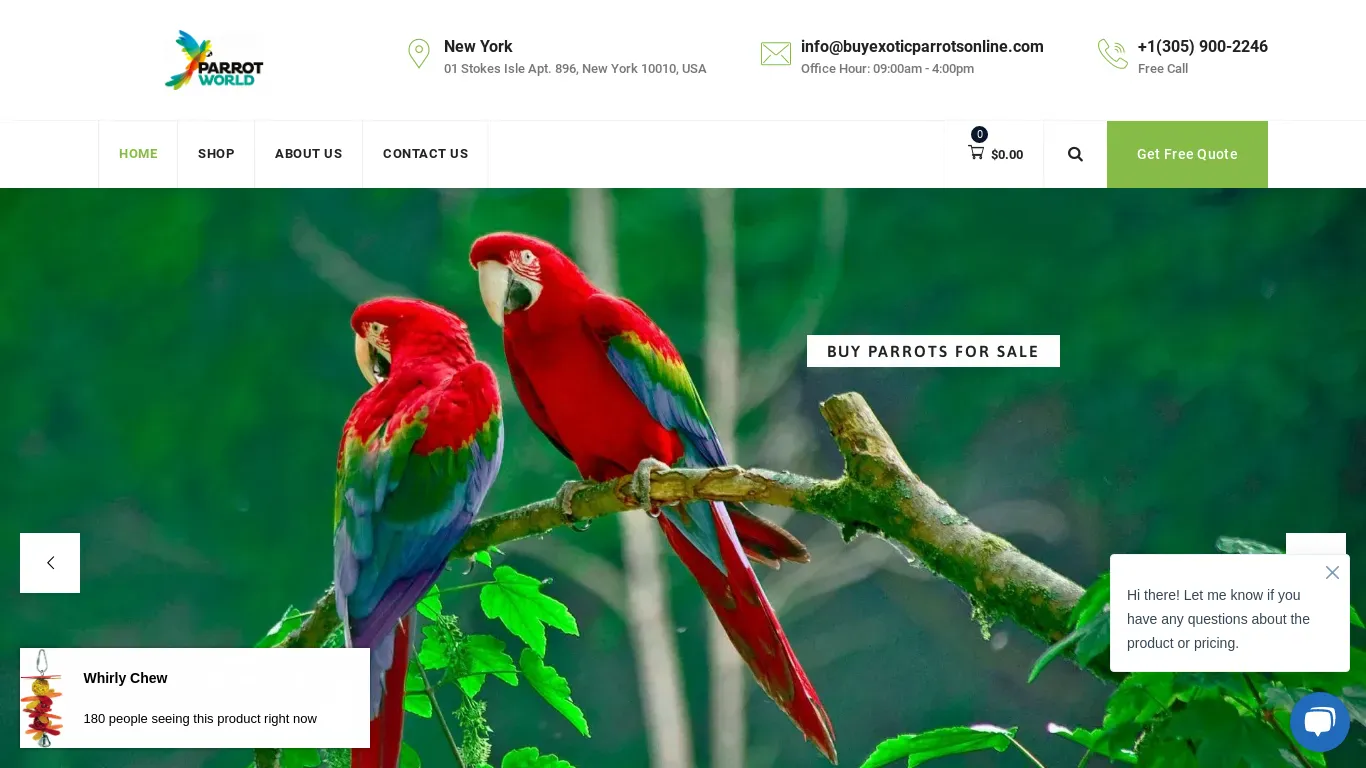 is buyexoticparrotsonline.com legit? screenshot
