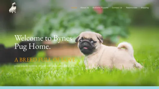 A screenshot of Bynespugs.com