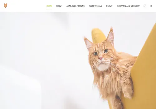 is cainemainecoons.com legit? screenshot