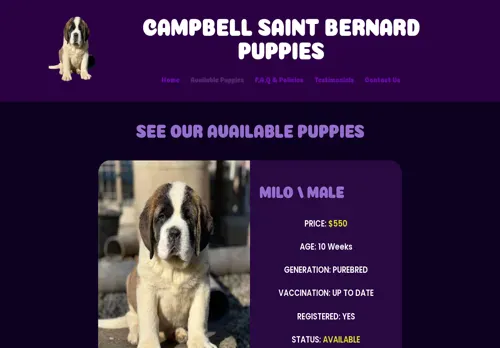 is campbellsaintbernardpuppies.com legit? screenshot
