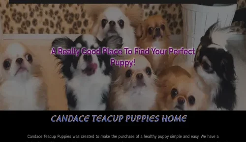 A screenshot of Genlanfamilystbernard.com