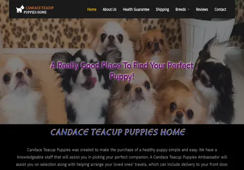 is candaceteacuphome.com legit? screenshot