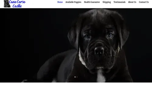 A screenshot of Genlanfamilystbernard.com