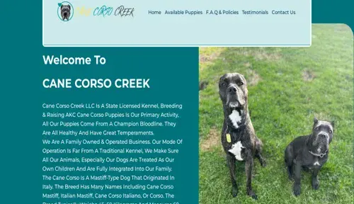 A screenshot of Genlanfamilystbernard.com