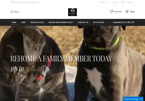 is canecorsopuppies24hrs.com legit? screenshot