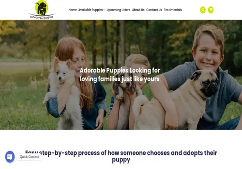 is canecorsopuppiesforadoption.com legit? screenshot