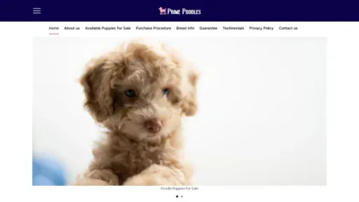 A screenshot of Canichesdeprimera.com
