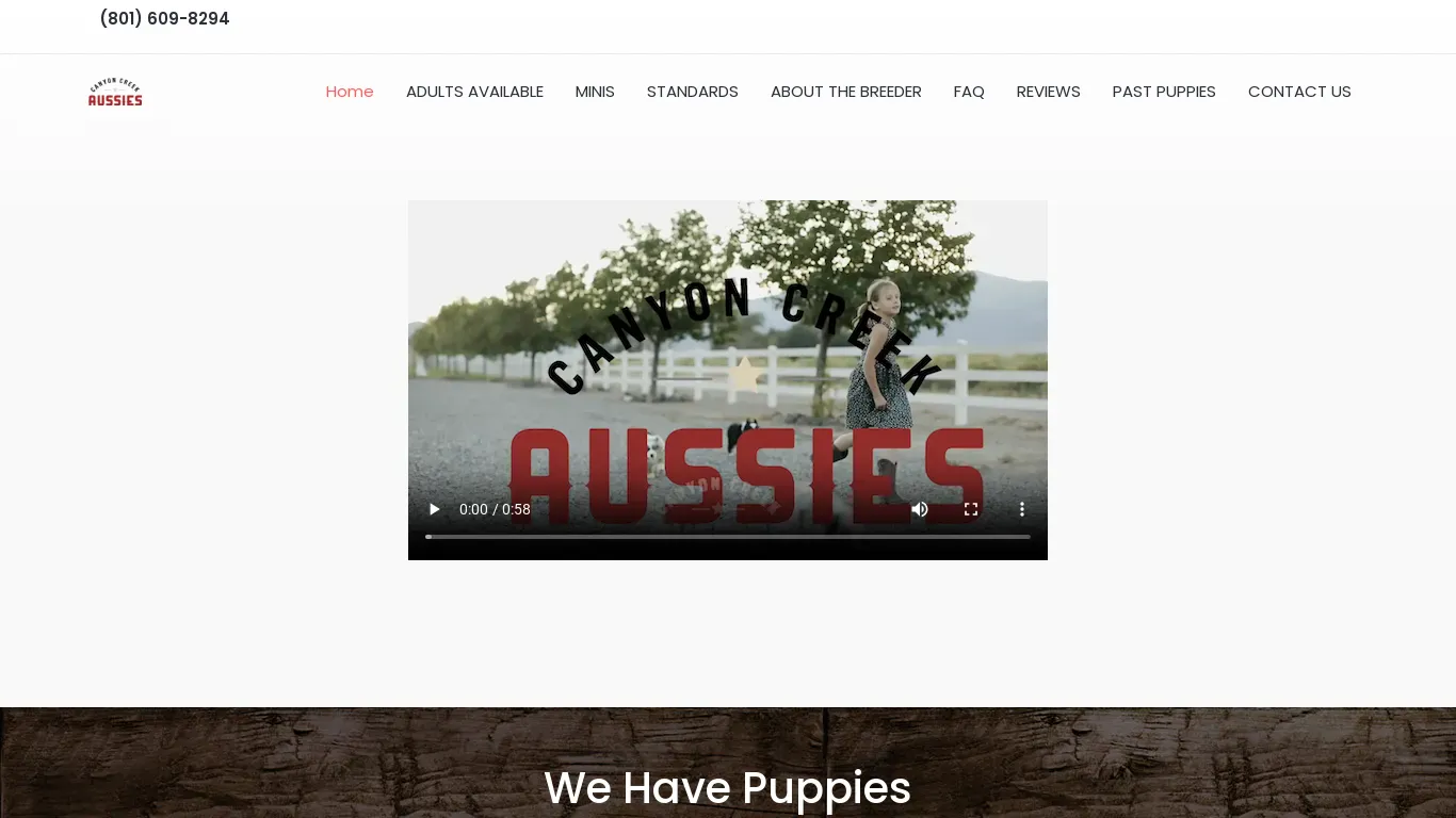 is canyon creek ausies -Australian Shepered Breeder -puppies for sell legit? screenshot