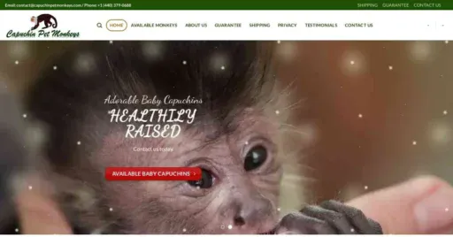 A screenshot of Genlanfamilystbernard.com