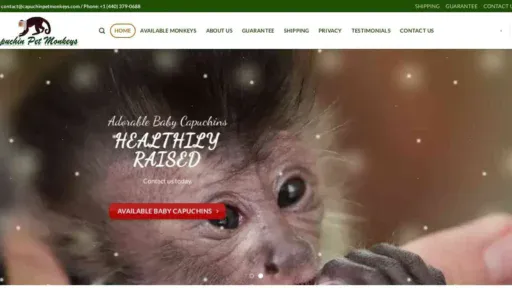 A screenshot of Genlanfamilystbernard.com