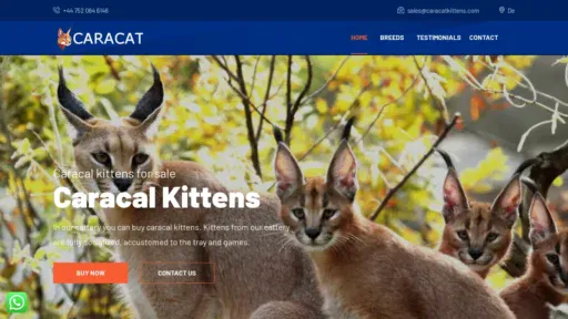 A screenshot of Caracatkittens.com