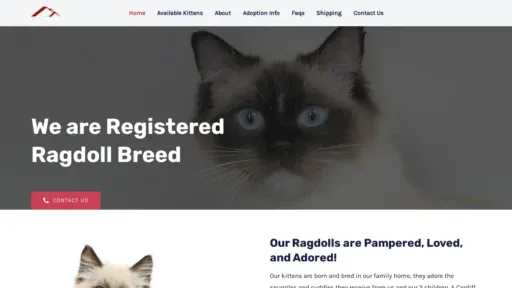 A screenshot of Cardiffragdoll.com