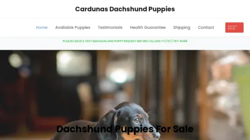A screenshot of Cardunasdachshundpuppies.com
