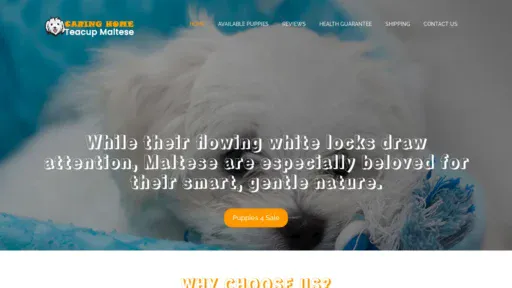 A screenshot of Caringhometeacupmaltese.com