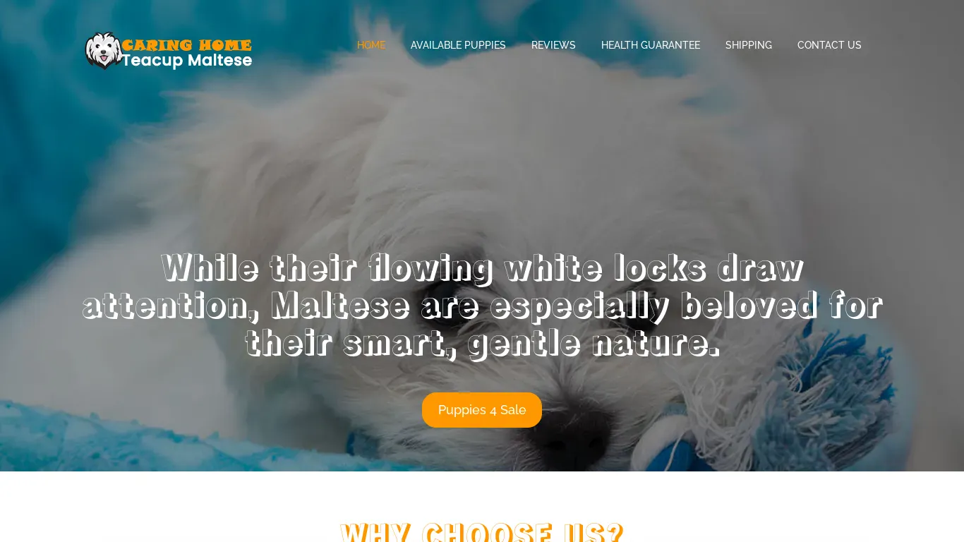 is Welcome - Caring Home Teacup Maltese legit? screenshot