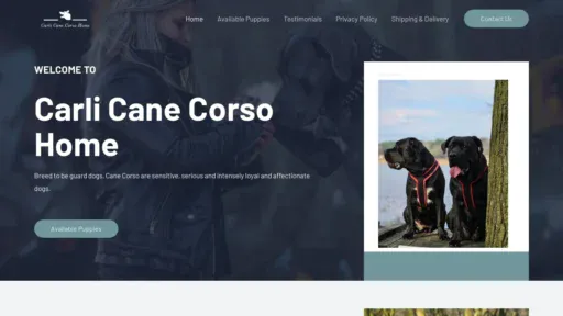 A screenshot of Carlicanecorso.com