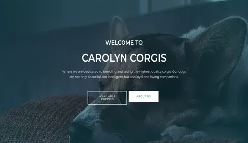 A screenshot of Genlanfamilystbernard.com