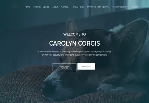 is carolyncorgis.com legit? screenshot