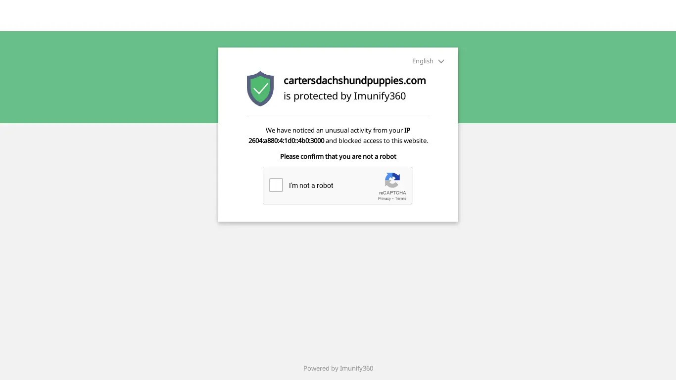 is Captcha legit? screenshot