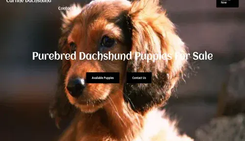 A screenshot of Genlanfamilystbernard.com