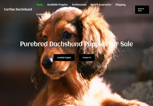 is cartinedachshund.com legit? screenshot