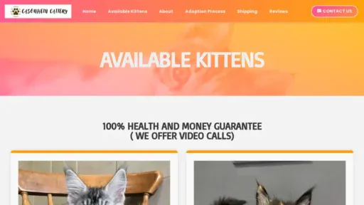 A screenshot of Casonheinmainecoon.com