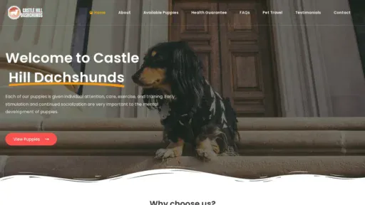 A screenshot of Castlehilldachshunds.com