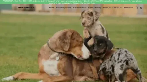 A screenshot of Catahoulapuppiesforsale.com