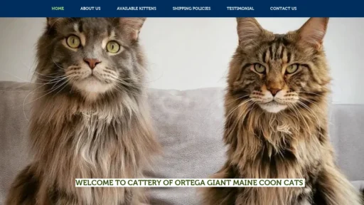 A screenshot of Catteryofortegagiantmainecoonpets.com
